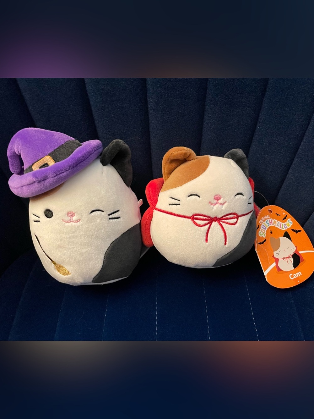 Two Small size Halloween Squishmallows Cam the Calico Cat